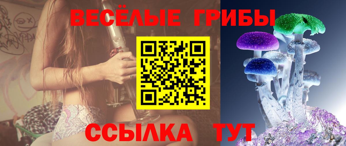 Галлюциногенные грибы мицелий Сатка