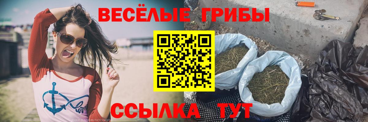 Галлюциногенные грибы Сатка