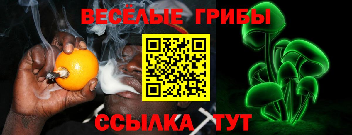 Сатка  Псилоцибиновые грибы Psilocybe  Вход с VPN 