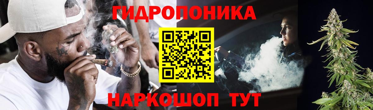 Шишки марихуана планчик  Бошки Шишки план  Сатка  Вход с VPN 